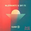 Ms. Dynamite & Shy FX - Cloud 9
